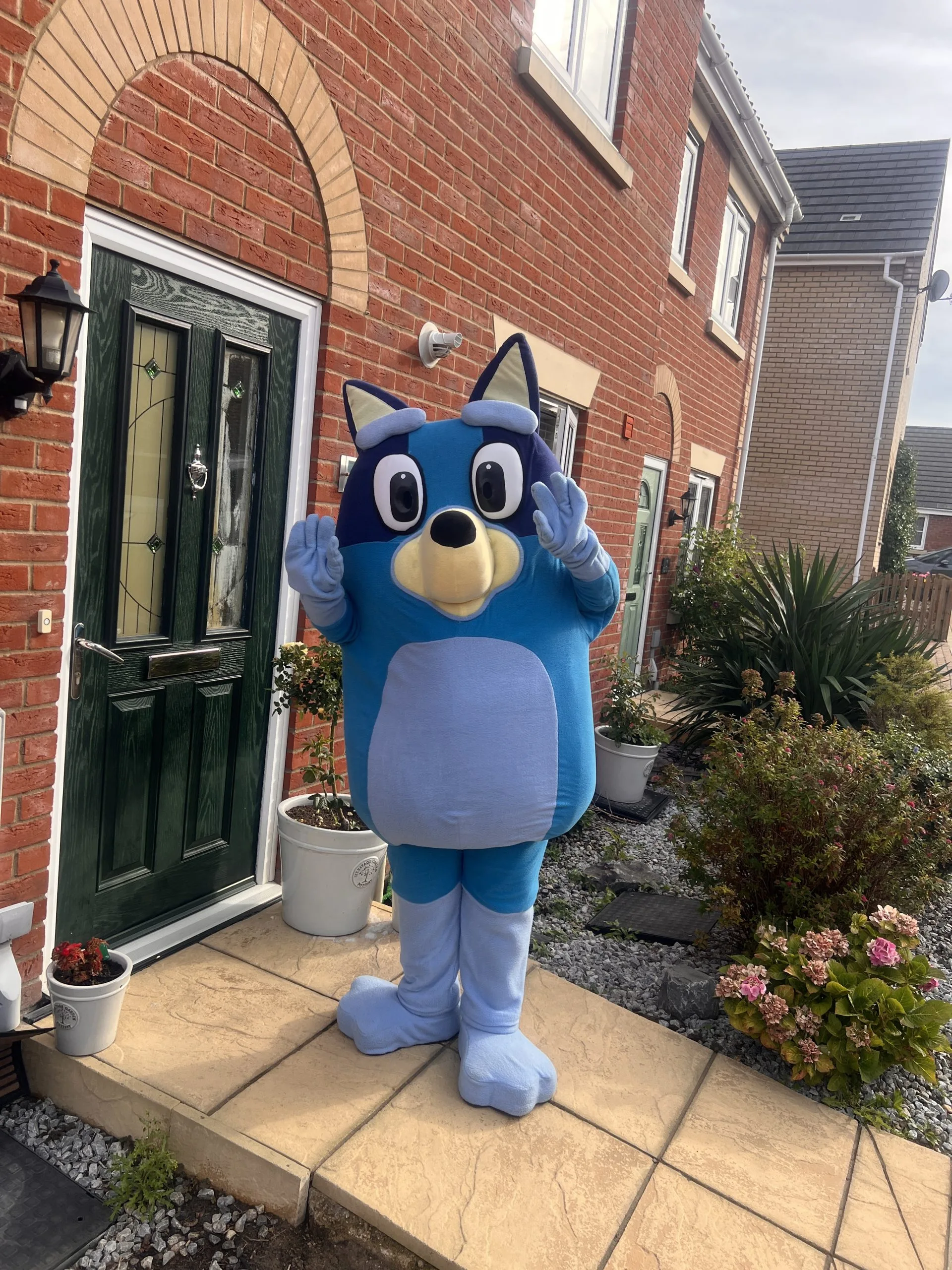 Book children's entertainment with a Blue Heeler Pup mascot visit